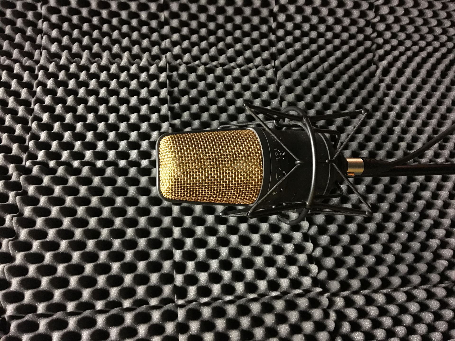 condenser microphone in front of acoustic foam